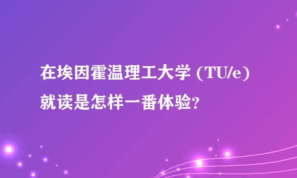 在埃因霍温理工大学 (TU/e) 就读是怎样一番体验?