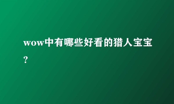 wow中有哪些好看的猎人宝宝?