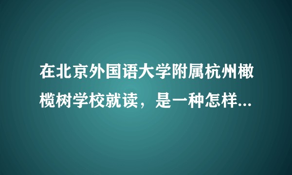 在北京外国语大学附属杭州橄榄树学校就读，是一种怎样的体验？