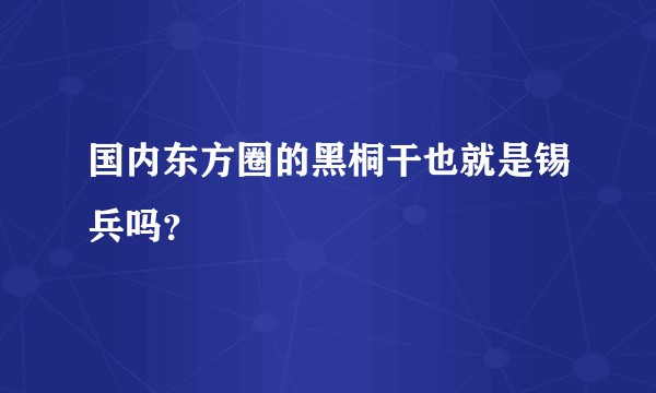 国内东方圈的黑桐干也就是锡兵吗？