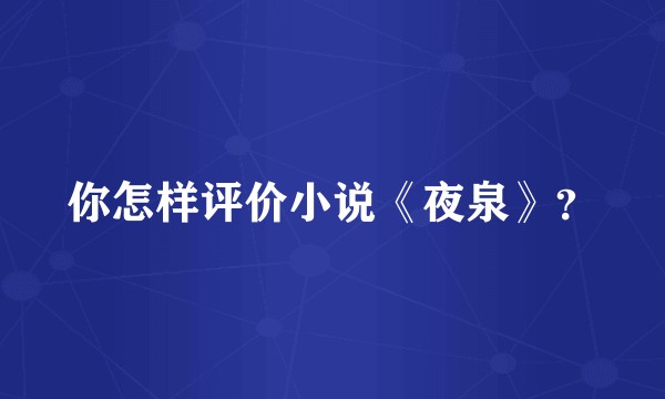 你怎样评价小说《夜泉》？