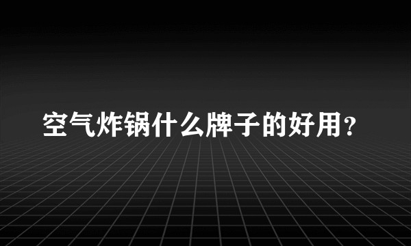 空气炸锅什么牌子的好用？