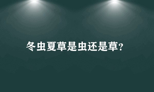 冬虫夏草是虫还是草？