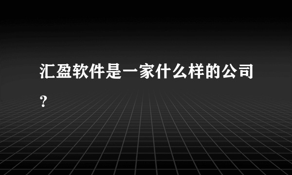 汇盈软件是一家什么样的公司？