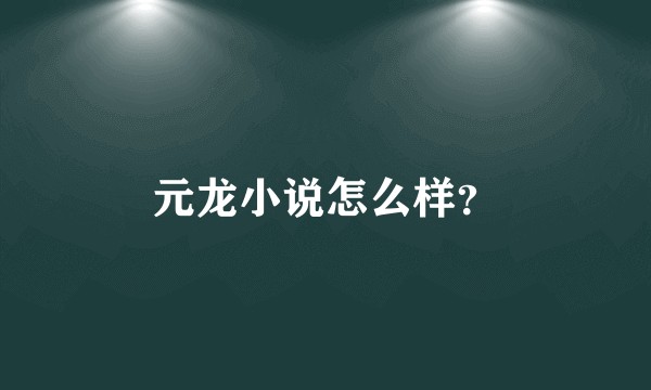 元龙小说怎么样？