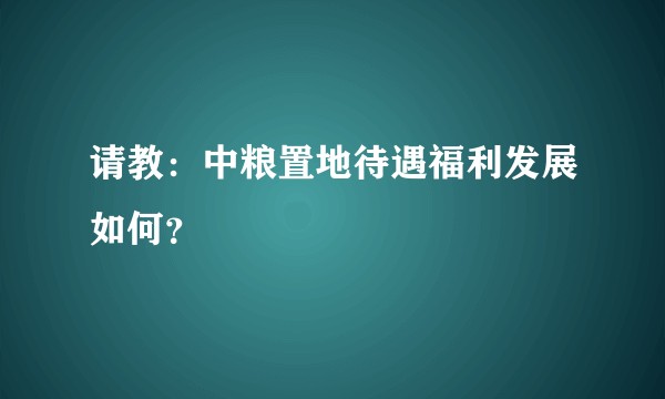 请教：中粮置地待遇福利发展如何？