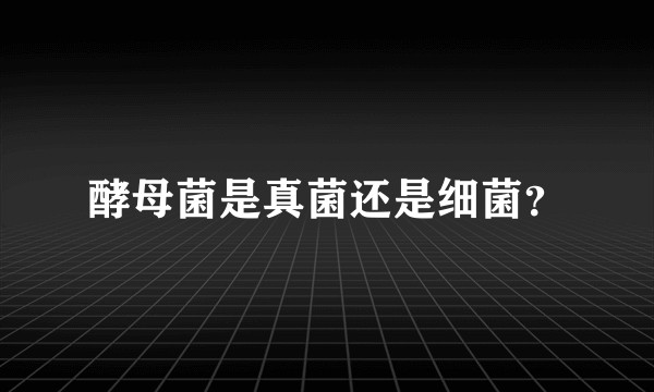 酵母菌是真菌还是细菌？