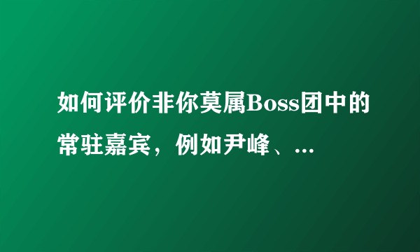 如何评价非你莫属Boss团中的常驻嘉宾，例如尹峰、慕岩等？