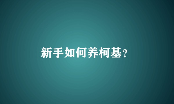 新手如何养柯基？