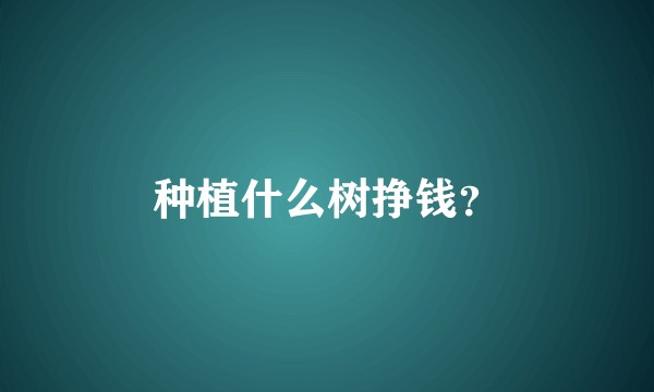 种植什么树挣钱？