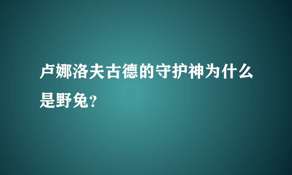 卢娜洛夫古德的守护神为什么是野兔？