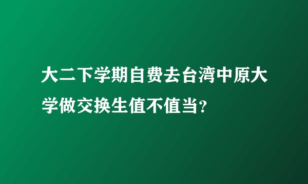大二下学期自费去台湾中原大学做交换生值不值当？
