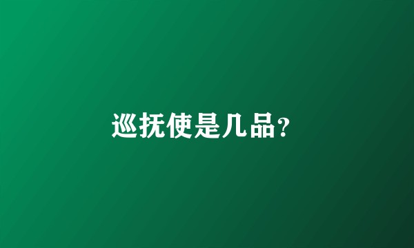 巡抚使是几品？