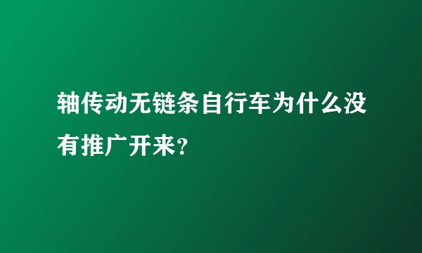 轴传动无链条自行车为什么没有推广开来？