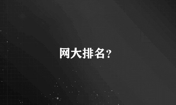 网大排名？