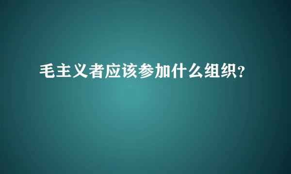毛主义者应该参加什么组织？