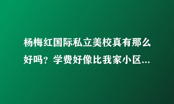 杨梅红国际私立美校真有那么好吗？学费好像比我家小区附近的私人培训机构贵不少啊！说说看哈，跪求？