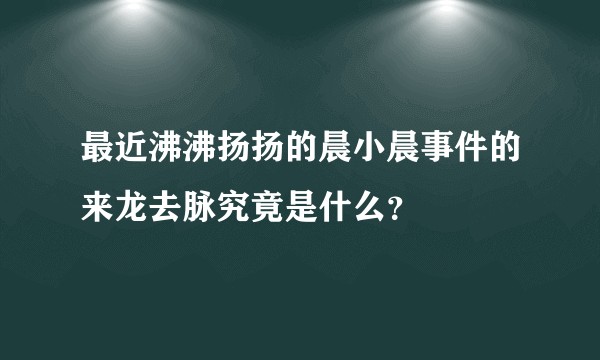 最近沸沸扬扬的晨小晨事件的来龙去脉究竟是什么？