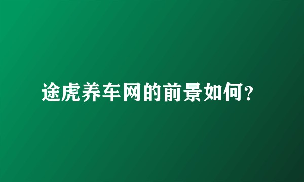 途虎养车网的前景如何？