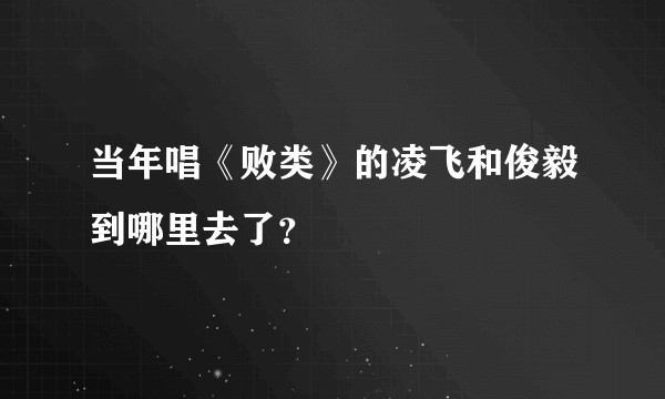 当年唱《败类》的凌飞和俊毅到哪里去了？