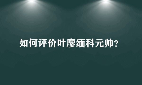 如何评价叶廖缅科元帅？