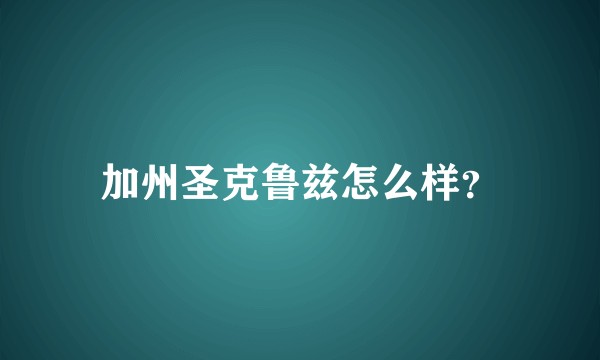加州圣克鲁兹怎么样?