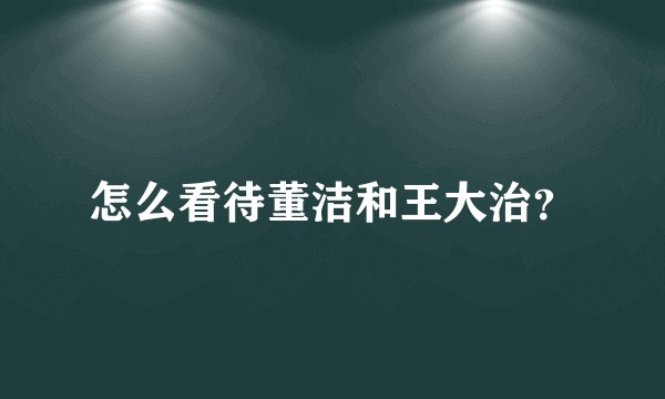 怎么看待董洁和王大治？
