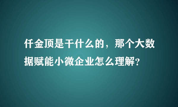 仟金顶是干什么的，那个大数据赋能小微企业怎么理解？