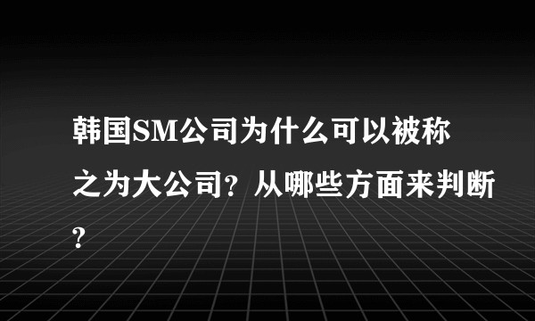 韩国SM公司为什么可以被称之为大公司？从哪些方面来判断?