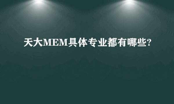 天大MEM具体专业都有哪些?
