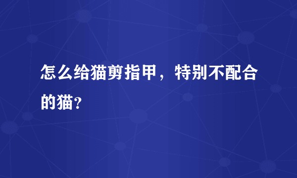 怎么给猫剪指甲，特别不配合的猫？