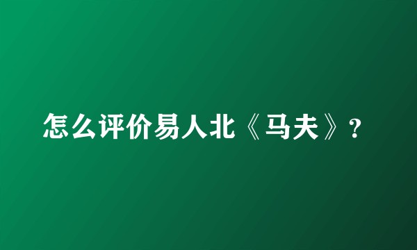 怎么评价易人北《马夫》?