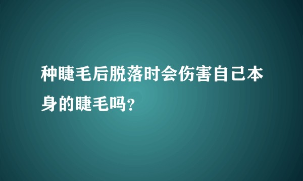 种睫毛后脱落时会伤害自己本身的睫毛吗？