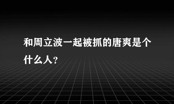 和周立波一起被抓的唐爽是个什么人？