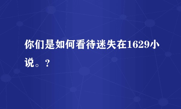 你们是如何看待迷失在1629小说。?