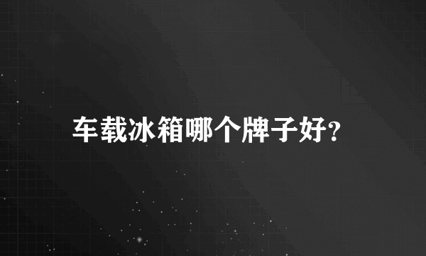车载冰箱哪个牌子好？