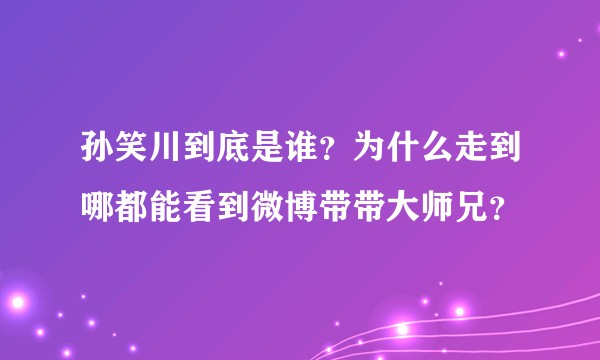 孙笑川到底是谁？为什么走到哪都能看到微博带带大师兄？