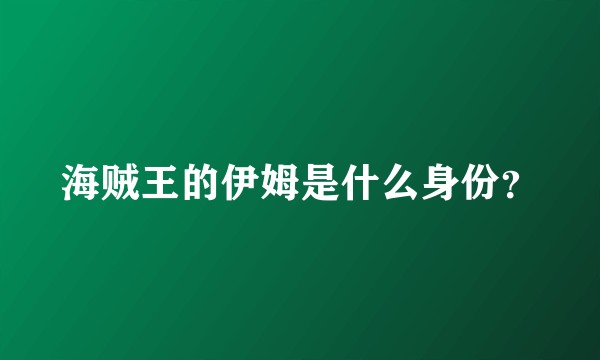 海贼王的伊姆是什么身份？