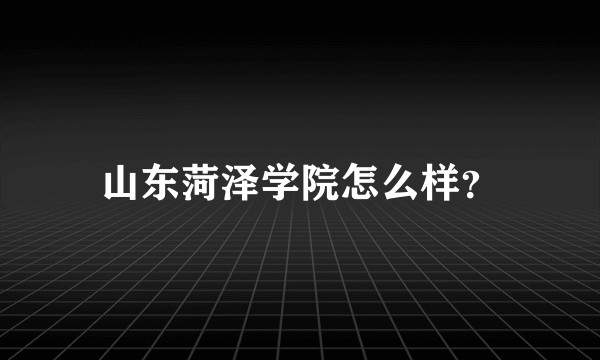 山东菏泽学院怎么样？
