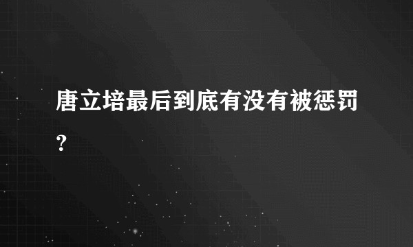 唐立培最后到底有没有被惩罚？