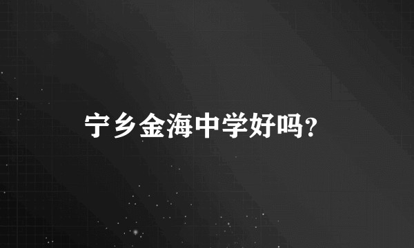 宁乡金海中学好吗？