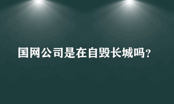 国网公司是在自毁长城吗？