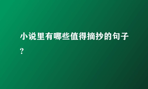小说里有哪些值得摘抄的句子?