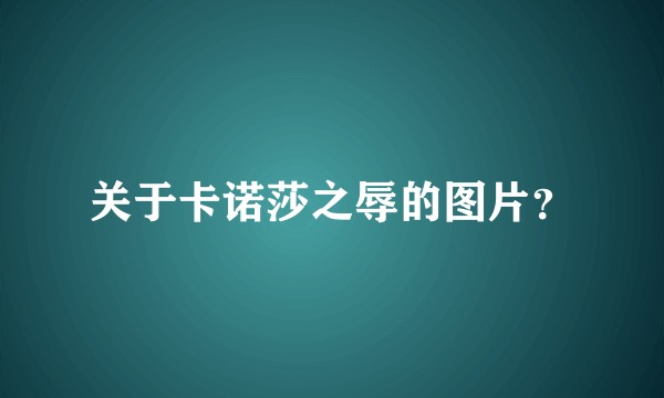 关于卡诺莎之辱的图片？