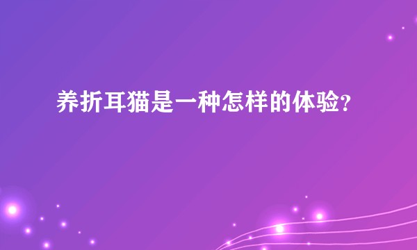 养折耳猫是一种怎样的体验？