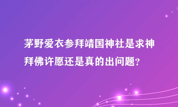 茅野爱衣参拜靖国神社是求神拜佛许愿还是真的出问题？
