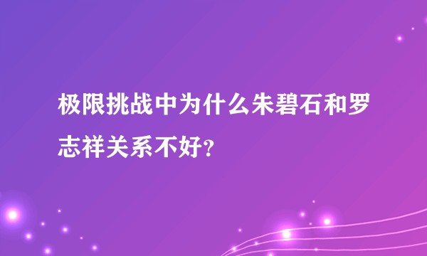 极限挑战中为什么朱碧石和罗志祥关系不好？