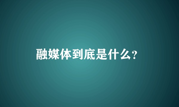 融媒体到底是什么？