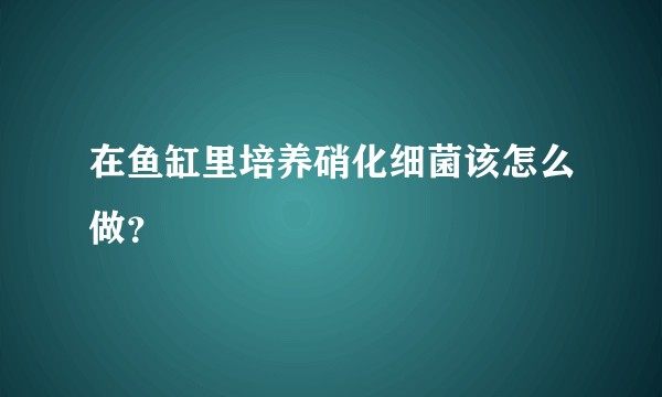 在鱼缸里培养硝化细菌该怎么做？