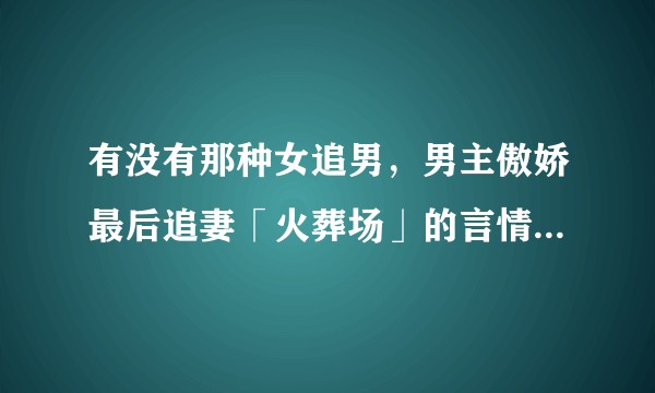 有没有那种女追男，男主傲娇最后追妻「火葬场」的言情小说推荐？